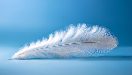 A thin, elongated cloud resembling a delicate feather floats gracefully against a serene blue sky. Its soft, frayed edges create an ethereal quality, inviting daydreams and wonder