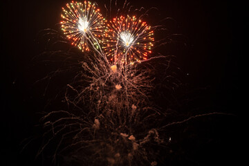 Holiday fireworks explode in the night sky. © Olga