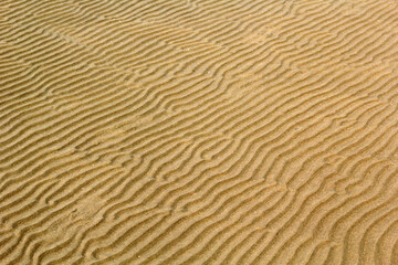 Fototapeta premium Пляж