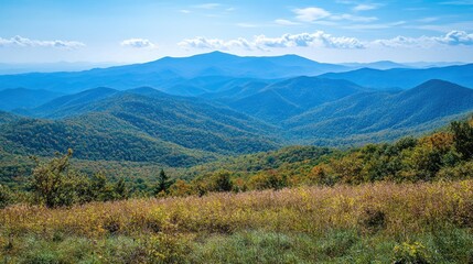 Obraz premium Panoramic vista of autumnal Appalachian Mountains. Lush foliage of various hues, rolling hills, and distant mountain range stretch under a clear, sunny sky.