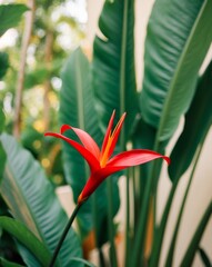 Vibrant Red Tropical Flower in Lush Foliage