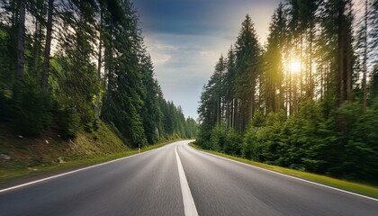 Obraz premium road in the woods