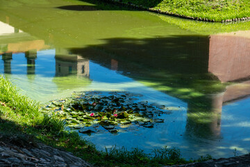 A pond reflects buildings among green lily pads. Tranquility and natural beauty