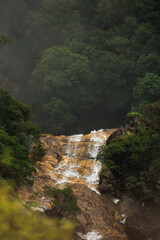 Obraz premium Blue Mountains National Park