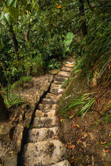 Obraz premium Hiking trail