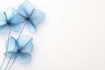 Obraz premium Delicate blue flowers with intricate outlines on soft white background create serene and minimalist aesthetic. Perfect for modern decor or artistic projects