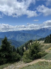 View of Washingtons mountain range from inside of Olympic National Park 