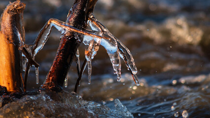 bryłki lodu na gałęziach w rzece © Mateusz