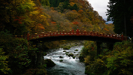 Traditional japanese red bridge arc in autumn mountain landscape