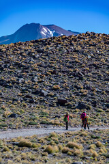 desert landscape of the highlands of Chile