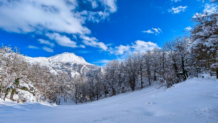 Snowy landscape at Redes Natural Park, Tiatordos Peak, 1951 meters in backgorund, Asturias, Spain