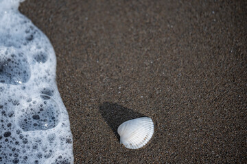 A beach with foam and bubbles on the sand