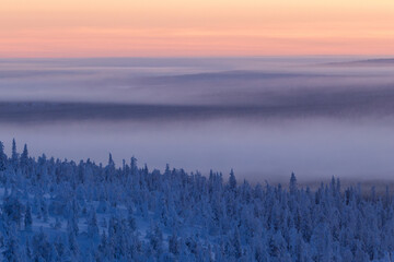 Snowy landscape with mist on a cold winter evening after sunset in Riisitunturi National Park, Northern Finland