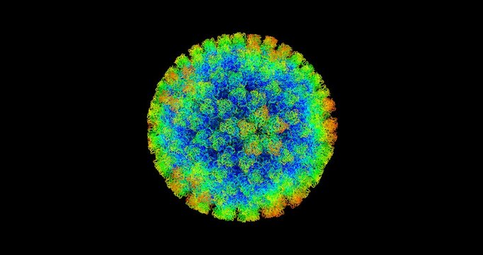  Bluetongue virus, 3D molecule spinning, 4k