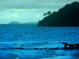 Fototapeta premium Naturaleza al anochecer