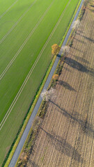 Farmlands from a bird's eye view
