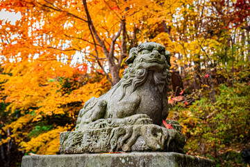 北海道　札幌の秋
