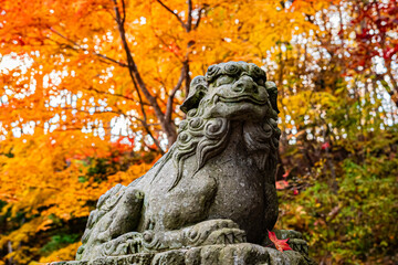 北海道　札幌の秋