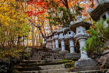 Fototapeta premium 北海道 札幌の秋
