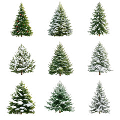 Fototapeta premium Collection of Christmas Trees with snow isolated on a white background.