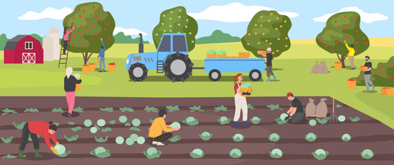 Farmers harvesting crops. Scene with farm workers picking crop of fruit and vegetables in garden. Agriculture and farming. People work on rural field. Cartoon vector illustration