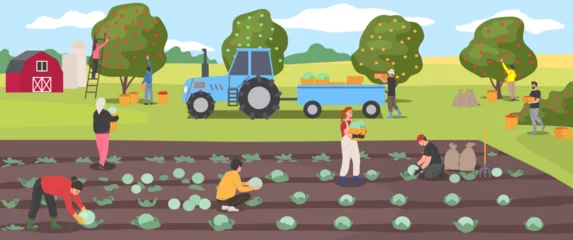 Naadloos Fotobehang Airtex Farmers harvesting crops. Scene with farm workers picking crop of fruit and vegetables in garden. Agriculture and farming. People work on rural field. Cartoon vector illustration © Aleksey