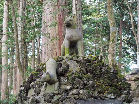 大口真神　大神　天の川　原画　F0号 大口真神 Images – Browse 53 Stock Photos, Vectors, and Video