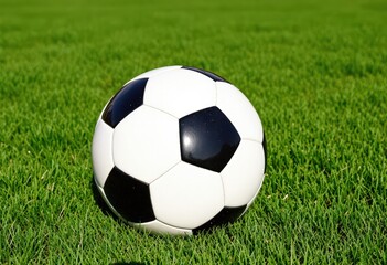 Fototapeta premium soccer ball on grass