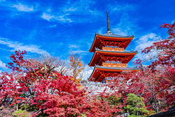 京都　清水寺の秋の風景
