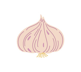 Fresh whole garlic aromatic bulb simple hand drawn vector illustration, organic healthy life style diet, food nutrient for seasoning different dishes, full of vitamins and minerals