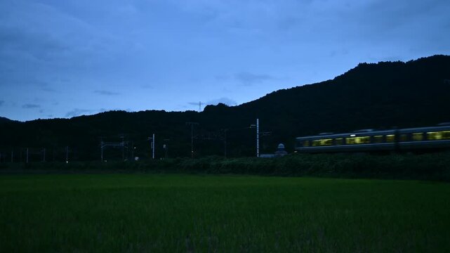 黄昏の安土を走る223系普通列車 （東海道本線 安土 - 能登川, 2024年10月）