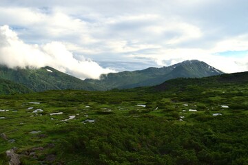 北アルプスの秘境雲ノ平の夕暮れ