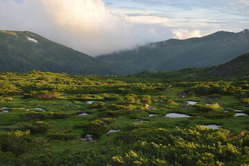 北アルプスの秘境雲ノ平の夕暮れ