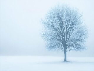 Fototapeta premium A solitary tree stands in a foggy landscape, creating a serene and tranquil atmosphere.