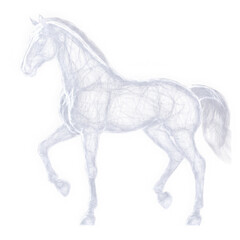 Obraz premium Transparent Horse Illustration on White Background