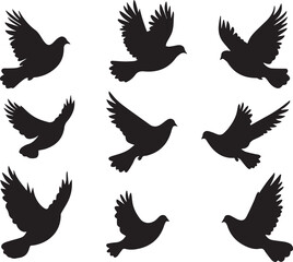 Obraz premium Silhouette of a flock of pigeons in flight vector silhouette