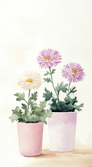 Fototapeta premium Elegant Chrysanthemums in Pastel Pots Watercolor Art for a Soft Floral Display