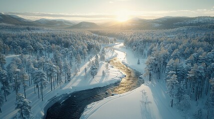 新雪に覆われた広大な森林の空撮1