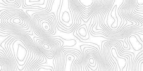 Fototapeta premium Abstract lines background. Contour maps. Topo contour map on white background. Abstract background with waves Geographic mountain relief.