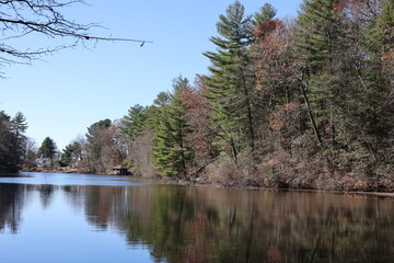 Lake and Trees in Connecticut, October 2024