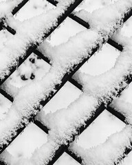 Snow-covered lattice in winter landscape