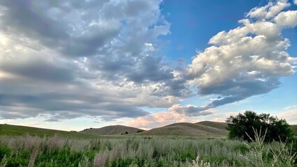 Fototapeta premium Wildflowers on Rolling Hills Under a Vibrant Sky for Fresh and Natural Landscape Photography 