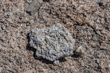 Weathering Porphyritic monzogranite (Cretaceous).  Granite Mountains，Mojave National Preserve...