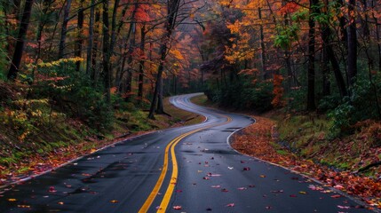 Fototapeta premium Autumn Road