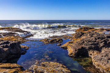 Obraz premium Tide pool and crashing waves on the central Oregon coast with blue sky, USA. 