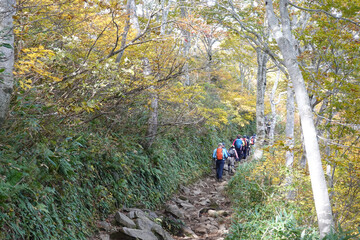 Obraz premium Fall Mt. Tanigawa Hiking, Gunma, Japan lined up people on the trail