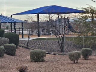 gazebo in the park