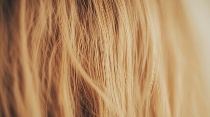 Hairbrush being gently pulled through golden blonde hair, showcasing smooth texture and natural shine in a calming environment