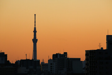 夕暮れの都市とスカイツリー
