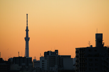 夕焼けと電波塔